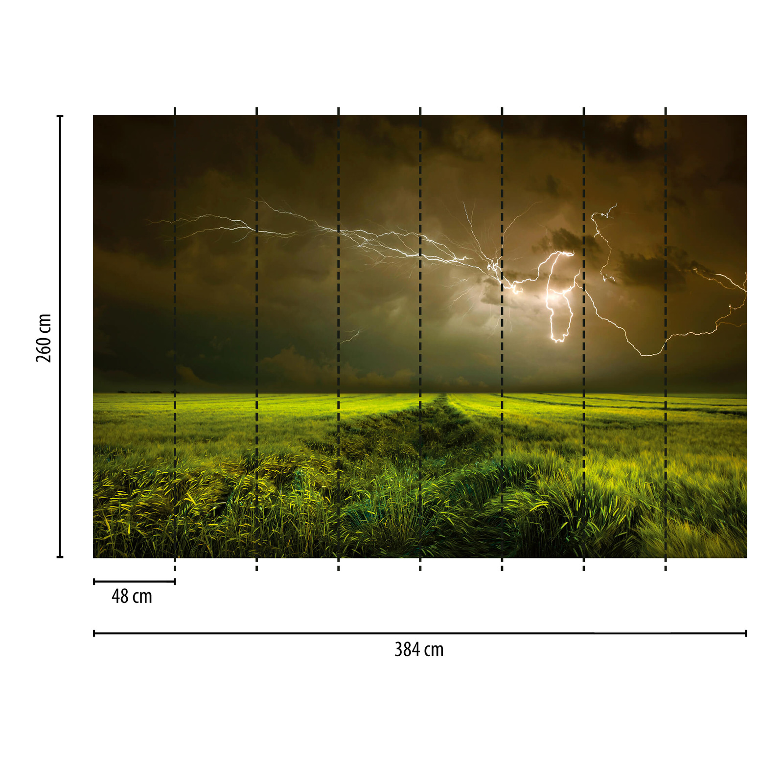             Fototapete Feld im Unwetter mit Blitzen – Grün, Braun
        