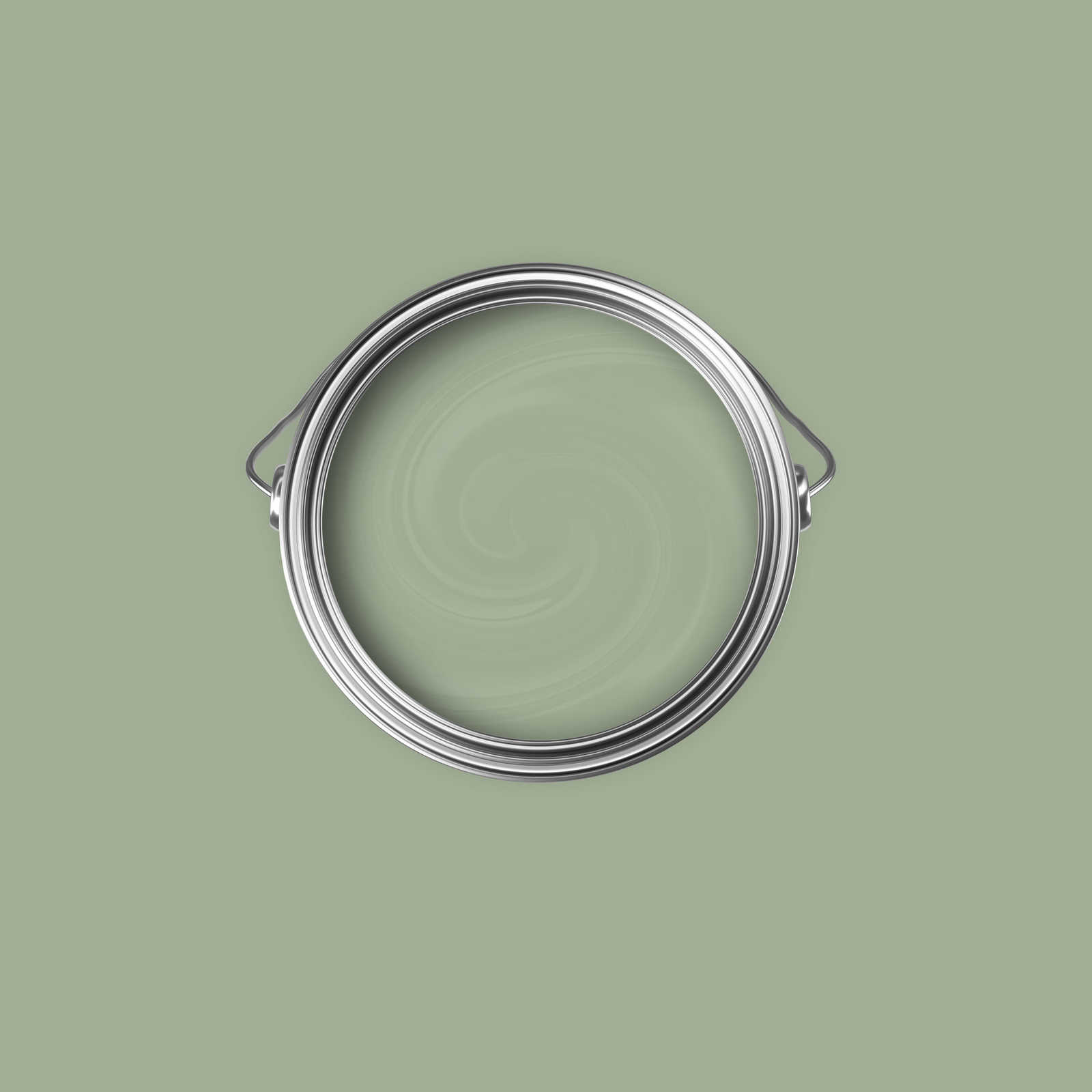             Premium Wandfarbe erdendes Olivgrün »Gorgeous Green« NW502 – 2,5 Liter
        