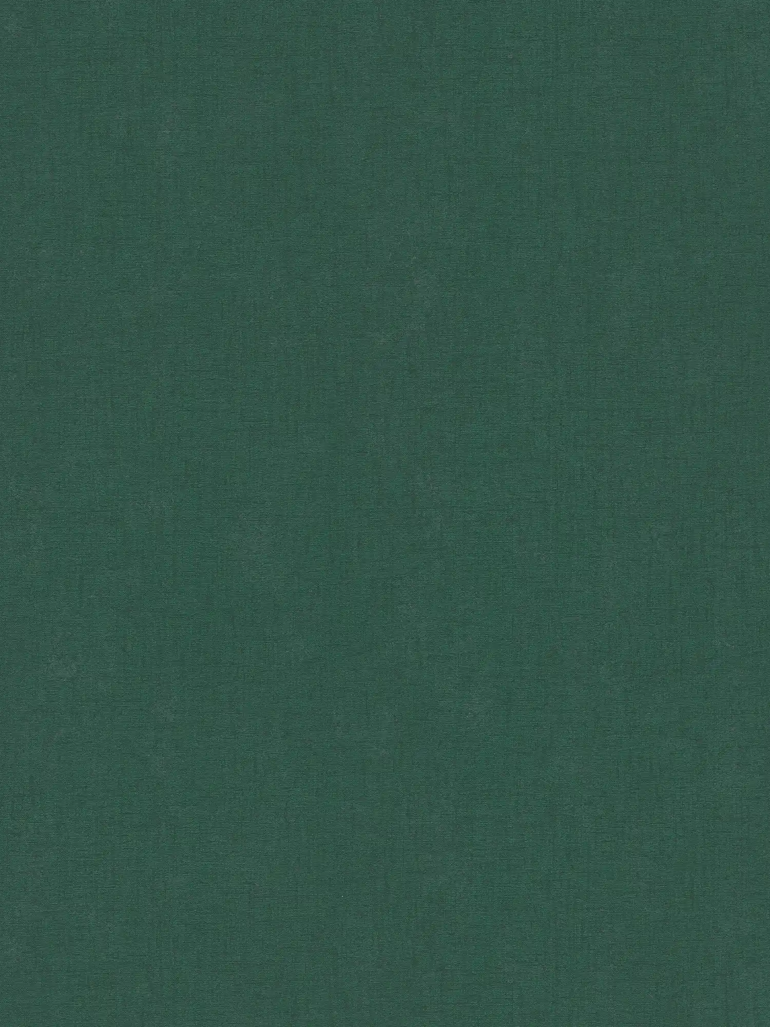 Einfarbige Vliestapete mit leichter Struktur – Grün, Dunkelgrün

