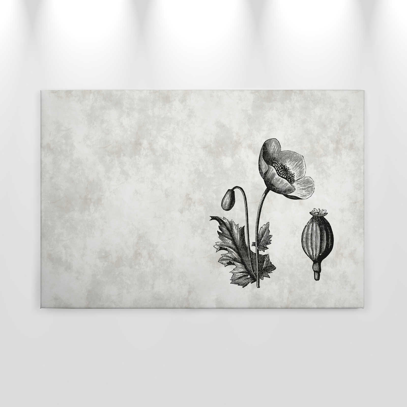             Schwarz-Weißes Leinwandbild Mohnblume Botanical Style – 0,90 m x 0,60 m
        