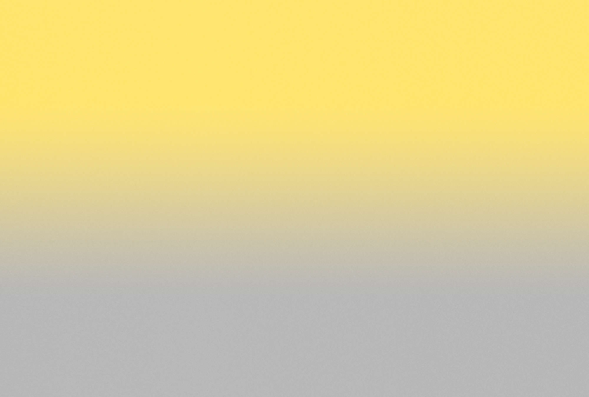             Colour Studio 1 – Fototapete Gelb & Grau Trendfarben Ombre Effekt
        