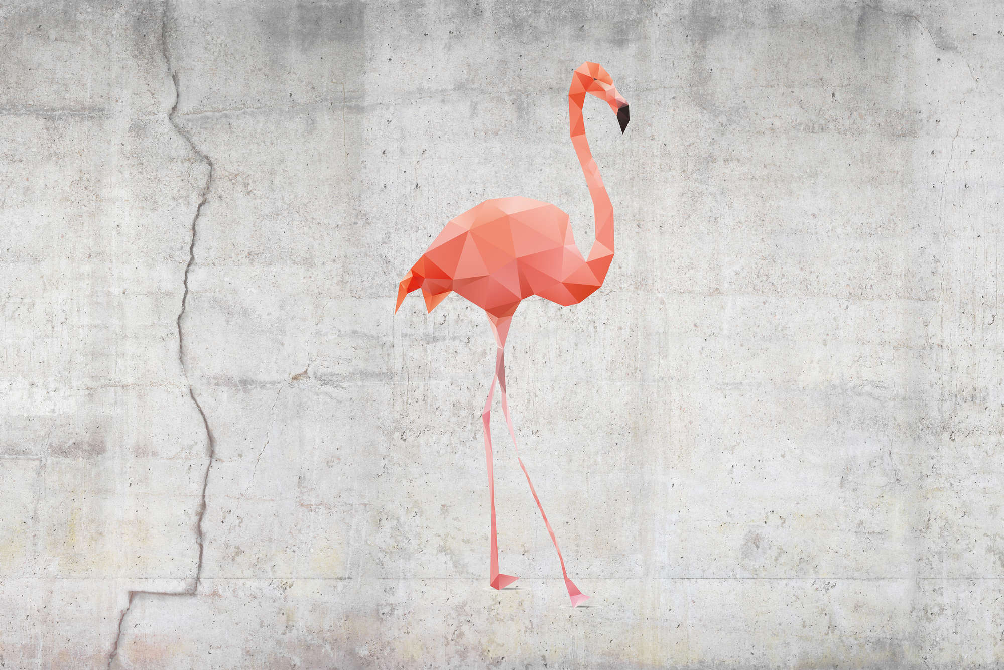            Grafik Fototapete Flamingo Motiv auf Premium Glattvlies
        