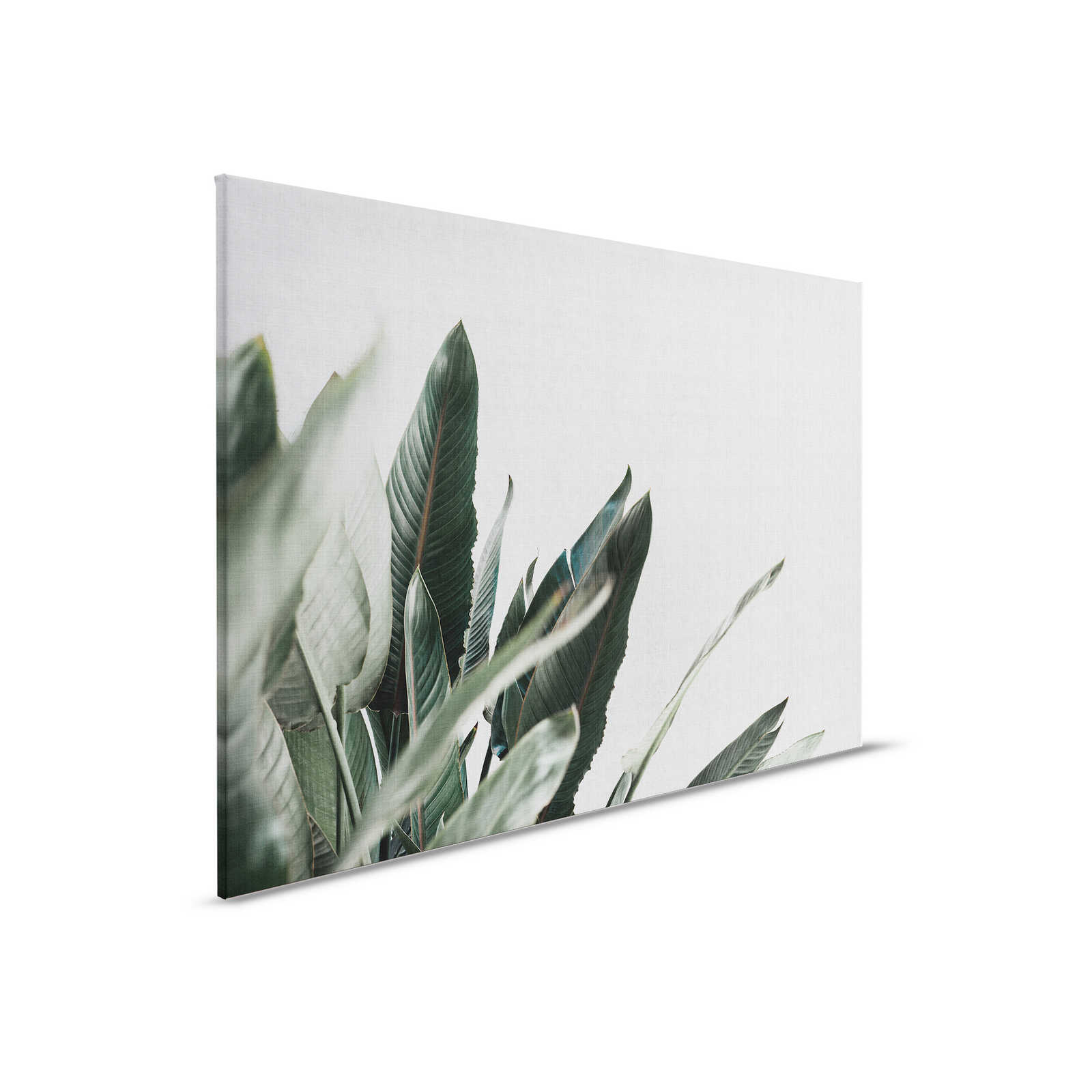 Urban jungle 1 - Leinwandbild mit Palmenblättern in naturleinen Optik – 0,90 m x 0,60 m
