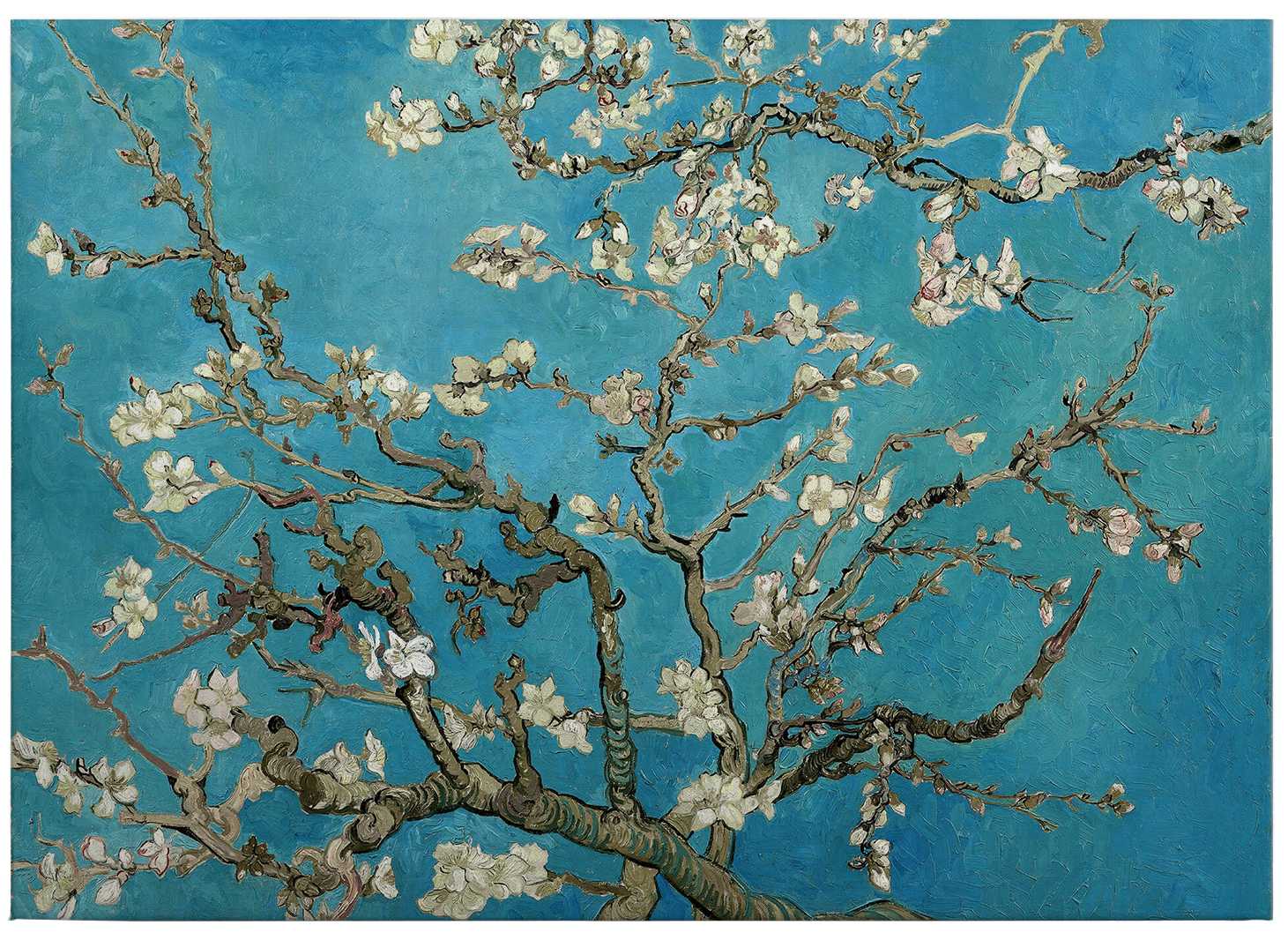             Leinwandbild "Mandelblüten" von Van Gogh – 0,70 m x 0,50 m
        