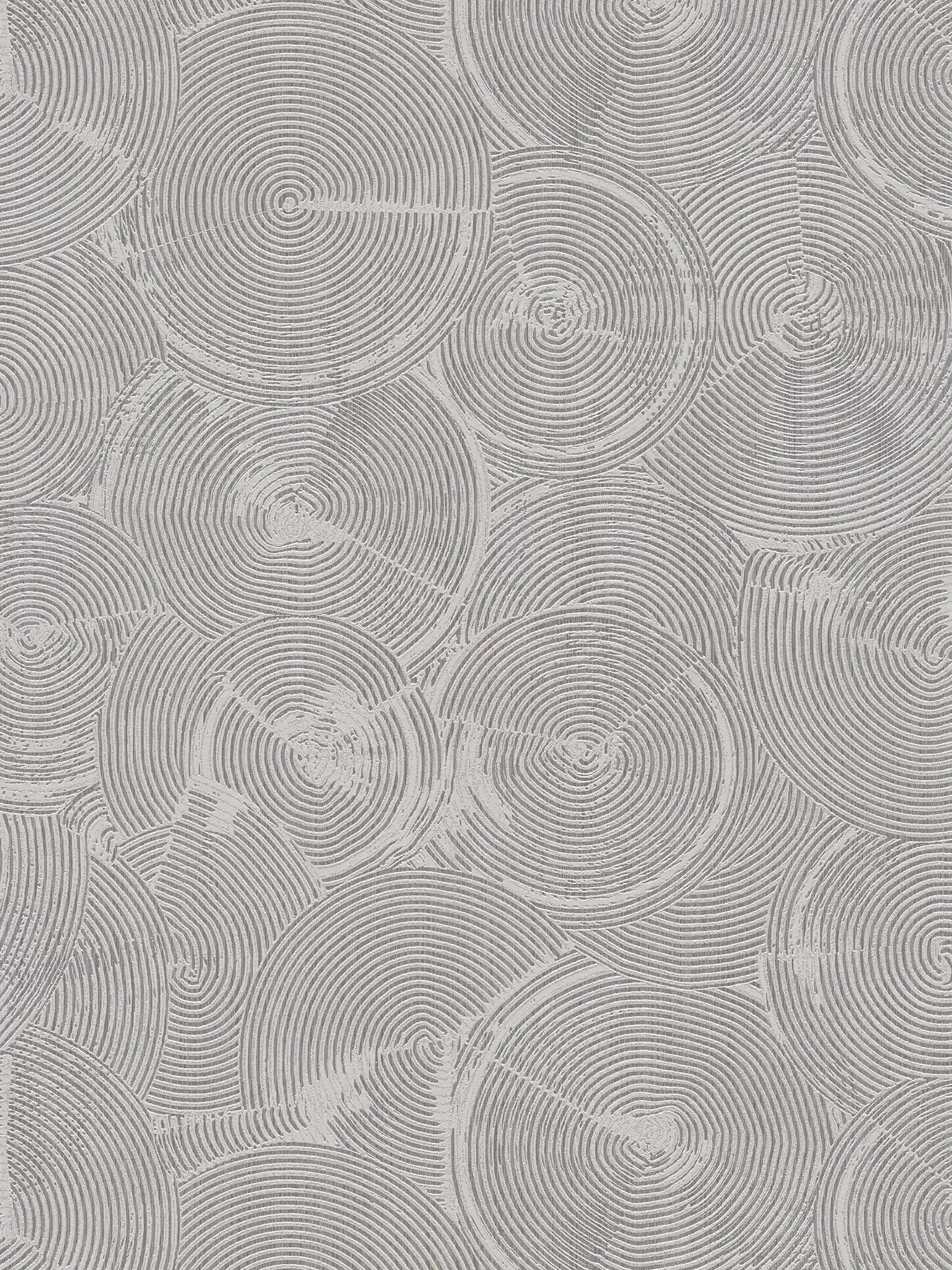 Putzoptik Tapete mit silbernem Metallic-Effekt – Grau, Metallic, Weiß

