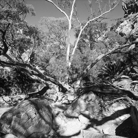 Felsen – Fototapete Naturaufnahme Schwarz-Weiß
