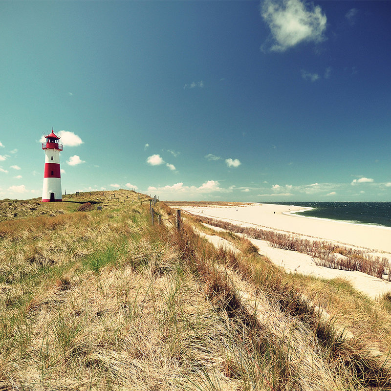 Strandlandschaft mit Leuchtturm – Grün, Blau, Braun
