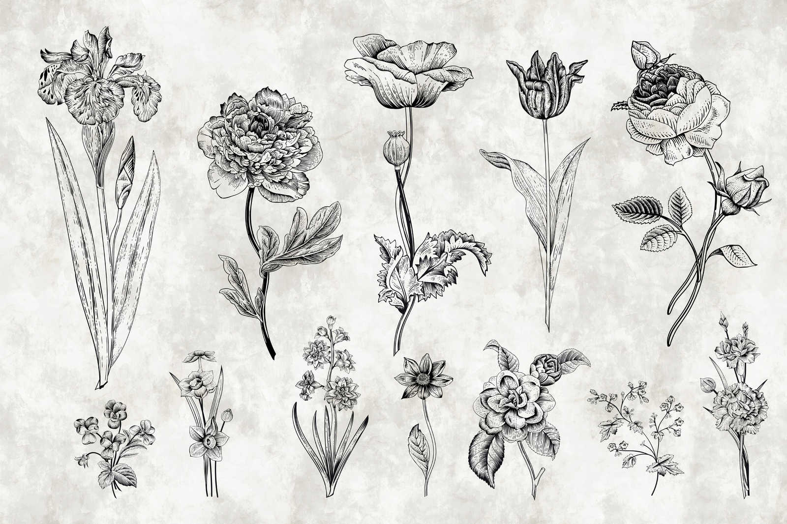             Leinwandbild Blumen im Zeichenstil – 0,90 m x 0,60 m
        