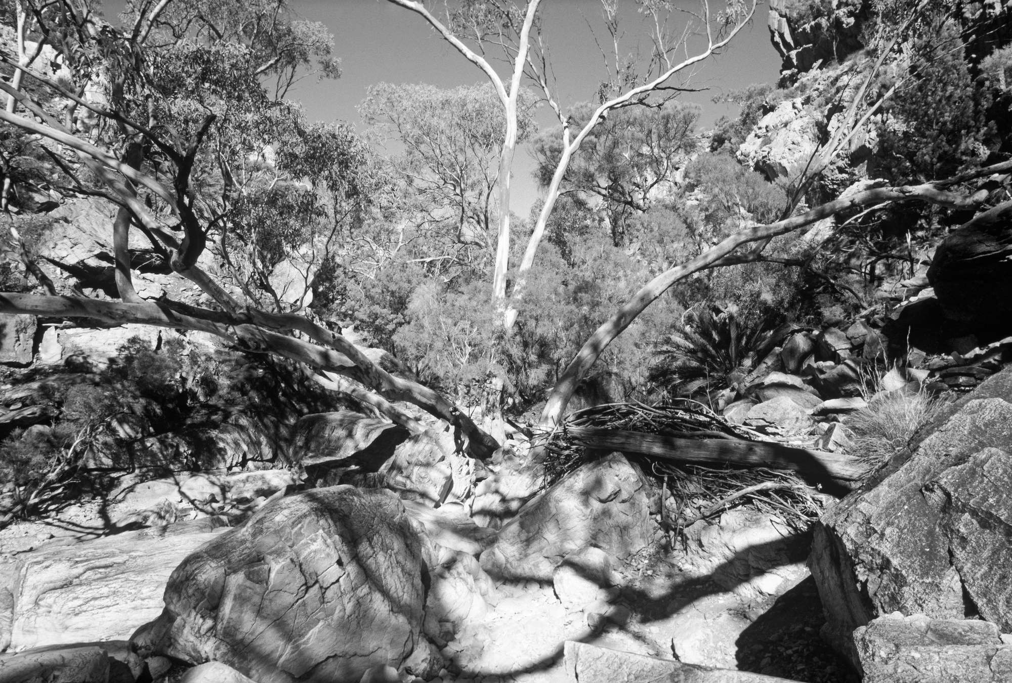             Felsen – Fototapete Naturaufnahme Schwarz-Weiß
        