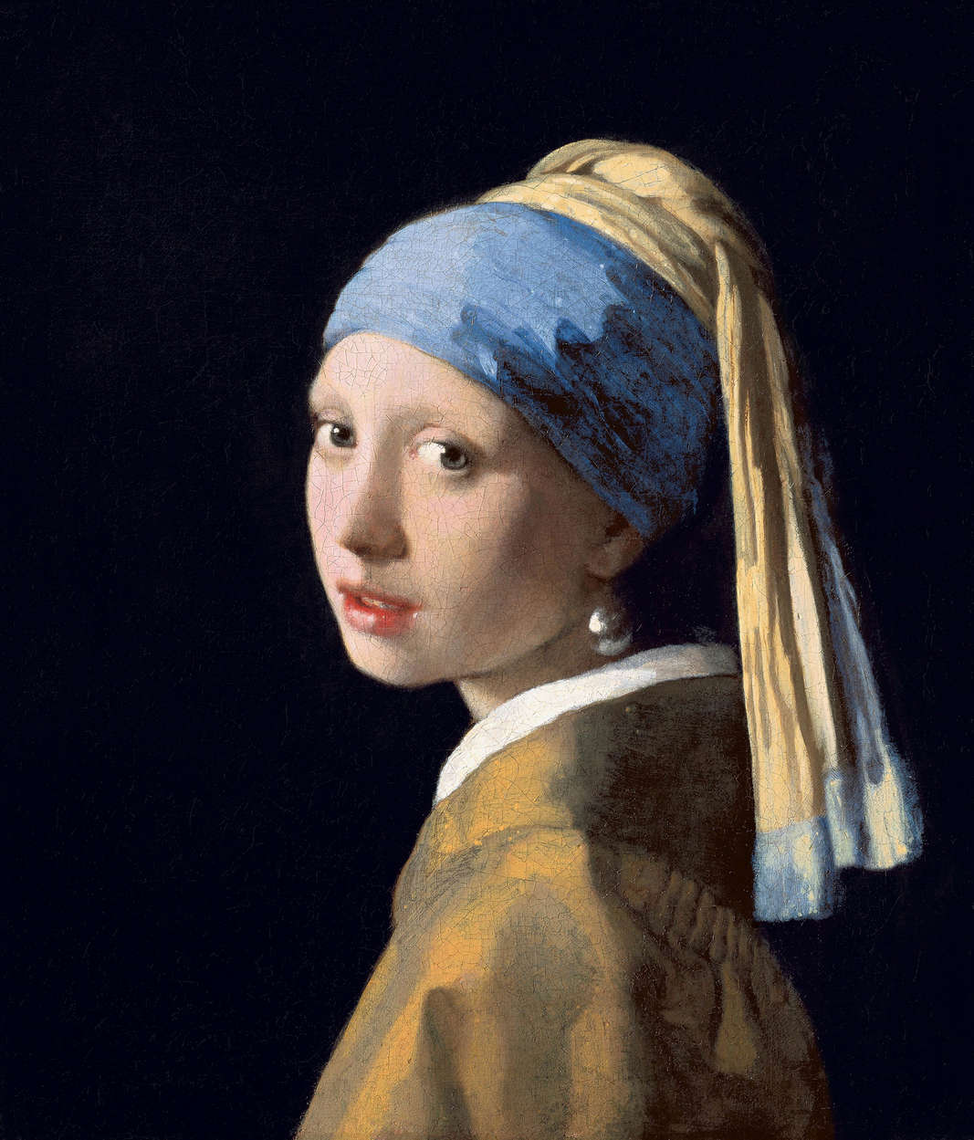             Fototapete "Das Mädchen mit dem Perlenohrring" von Jan Vermeer
        