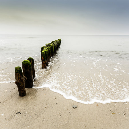 Fototapete Wellenbrecher – Holzpfähle im Meer
