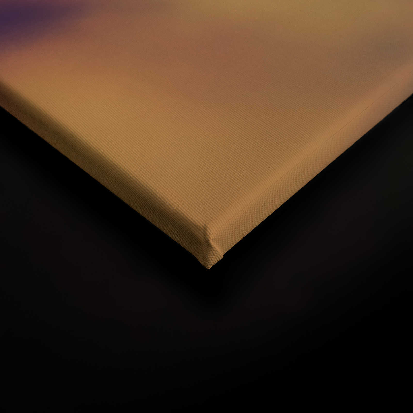             Leinwand mit Pusteblume Bildmotiv | Orange, Weiß – 0,90 m x 0,60 m
        