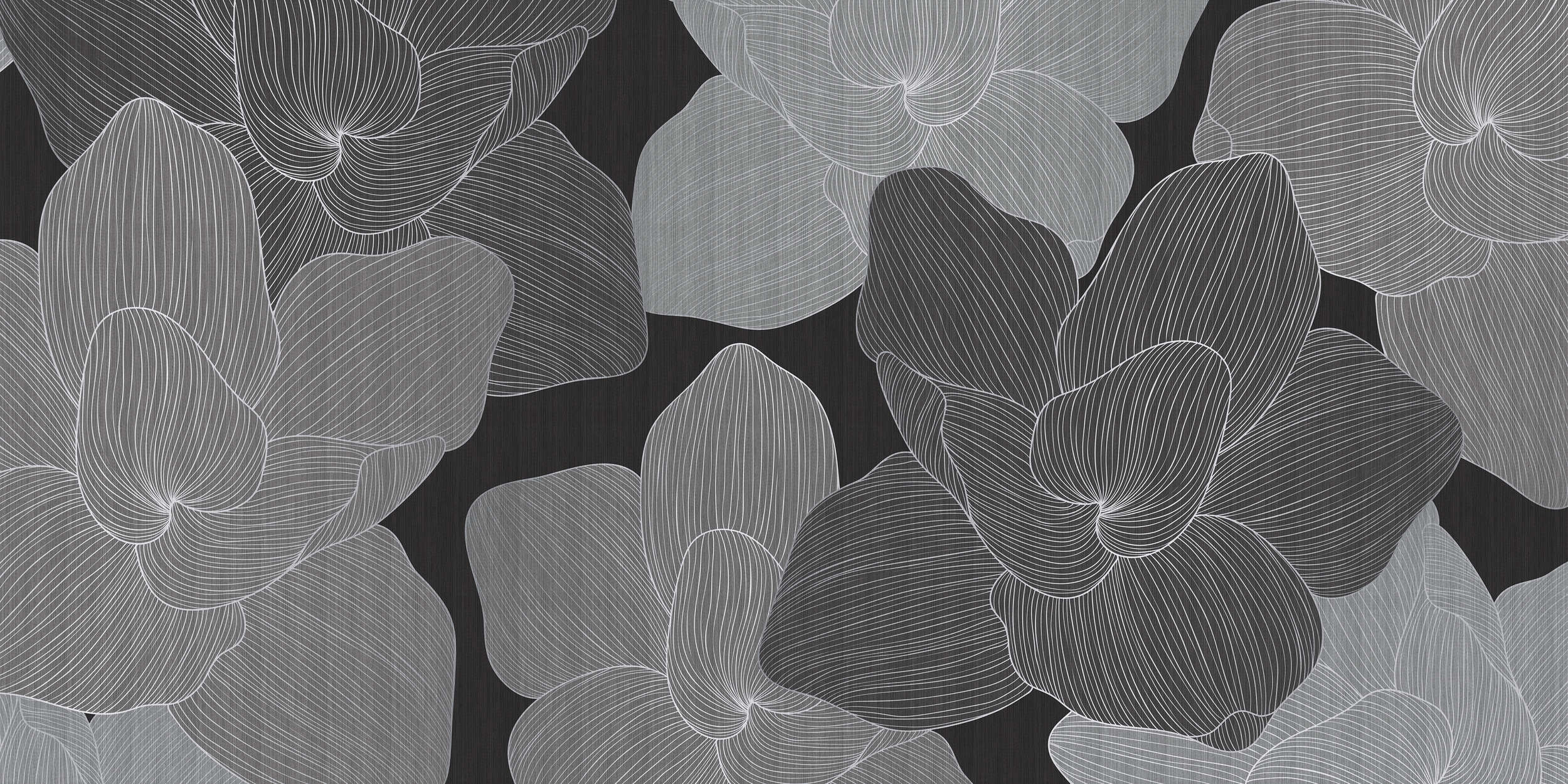             Secret Place 1 – Monochrome Fototapete Blumen, Schwarz & Grau
        
