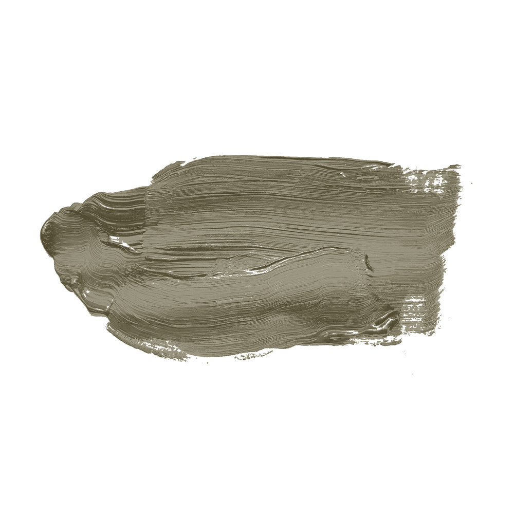             Wandfarbe in intensivem Olivton »Ordinary Olive« TCK4013 – 2,5 Liter
        