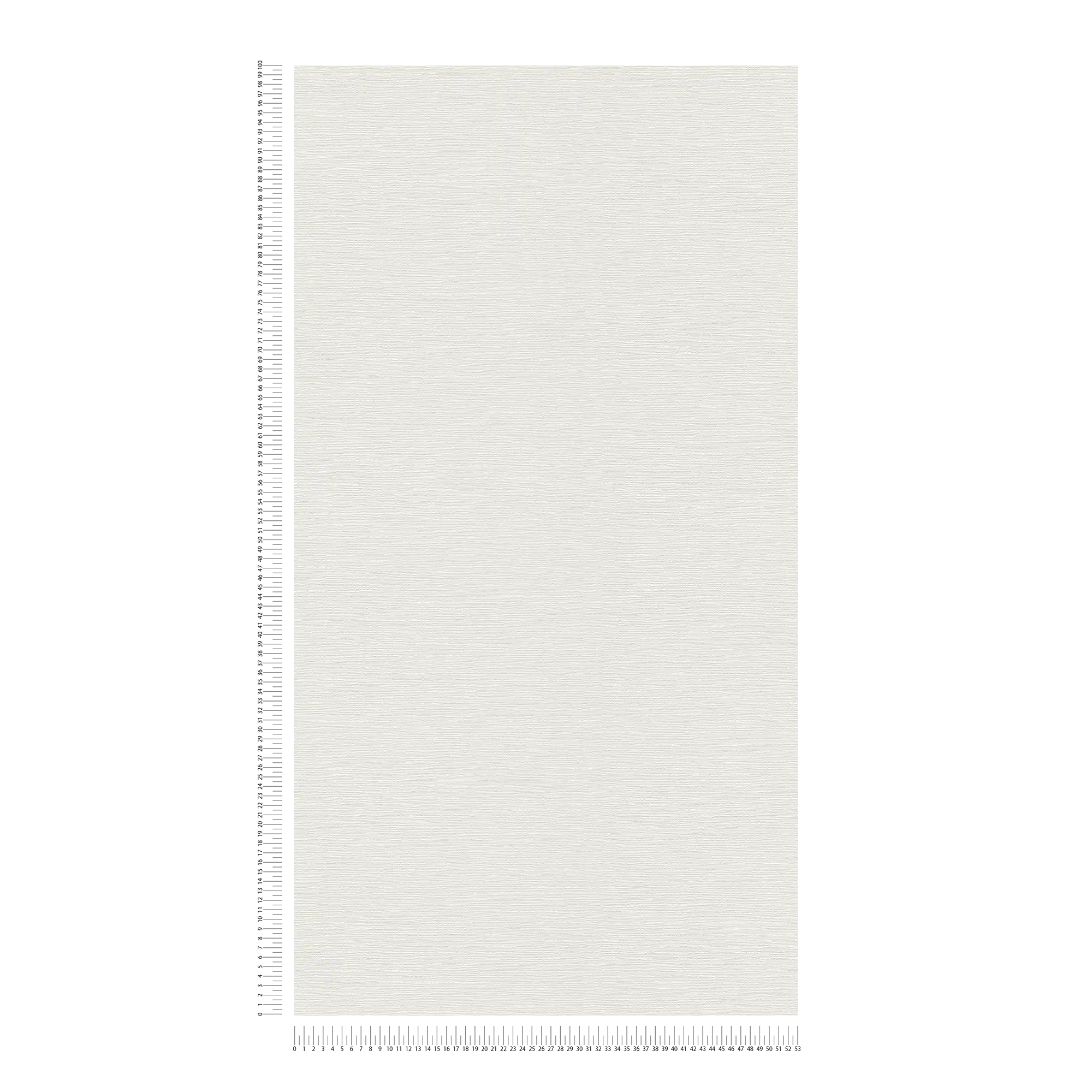             Einfarbige Tapete Weiß mit Struktur im Retro Design
        
