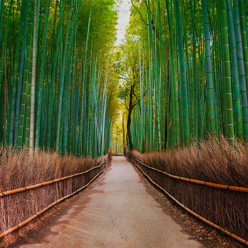 Natürliche Bildmotivtapete mit Bambusweg – Grün, Braun
