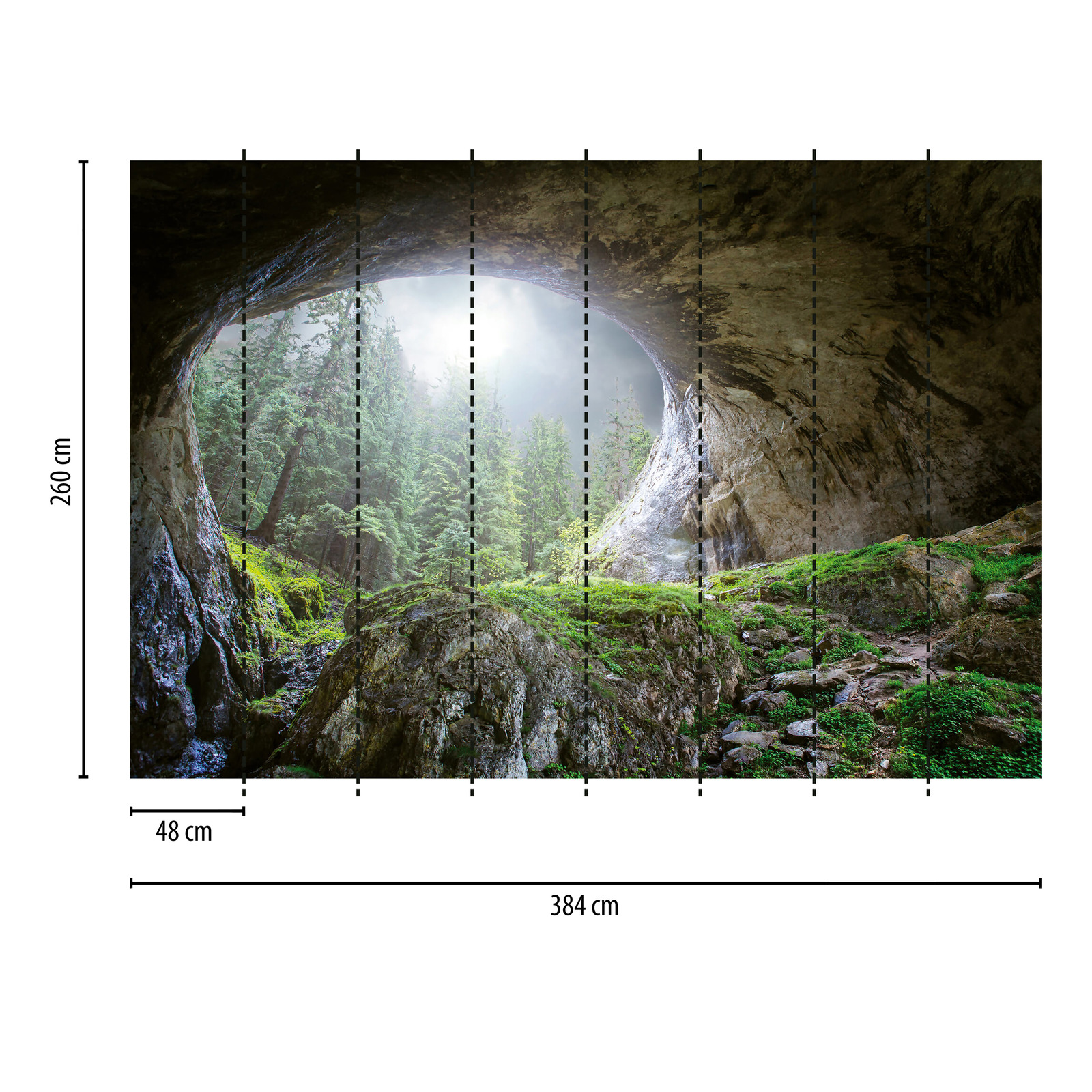             Natur Fototapete Höhle im Wald – Grün, Grau, Braun
        