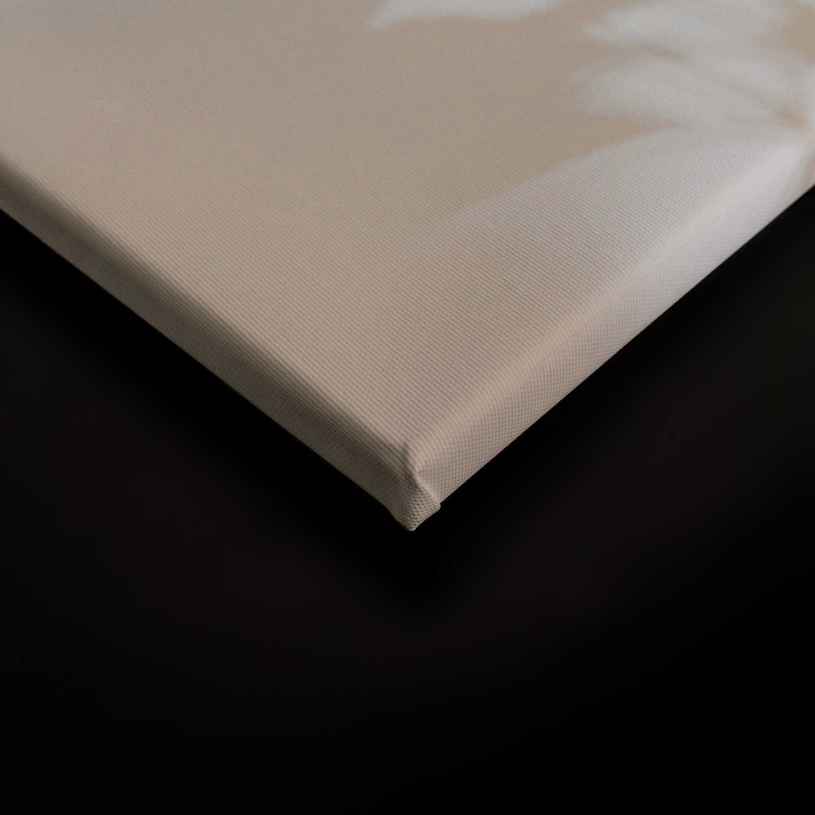             Shadow Room 1 - Natur Leinwandbild Beige & Weiß, verblasstes Design – 0,90 m x 0,60 m
        