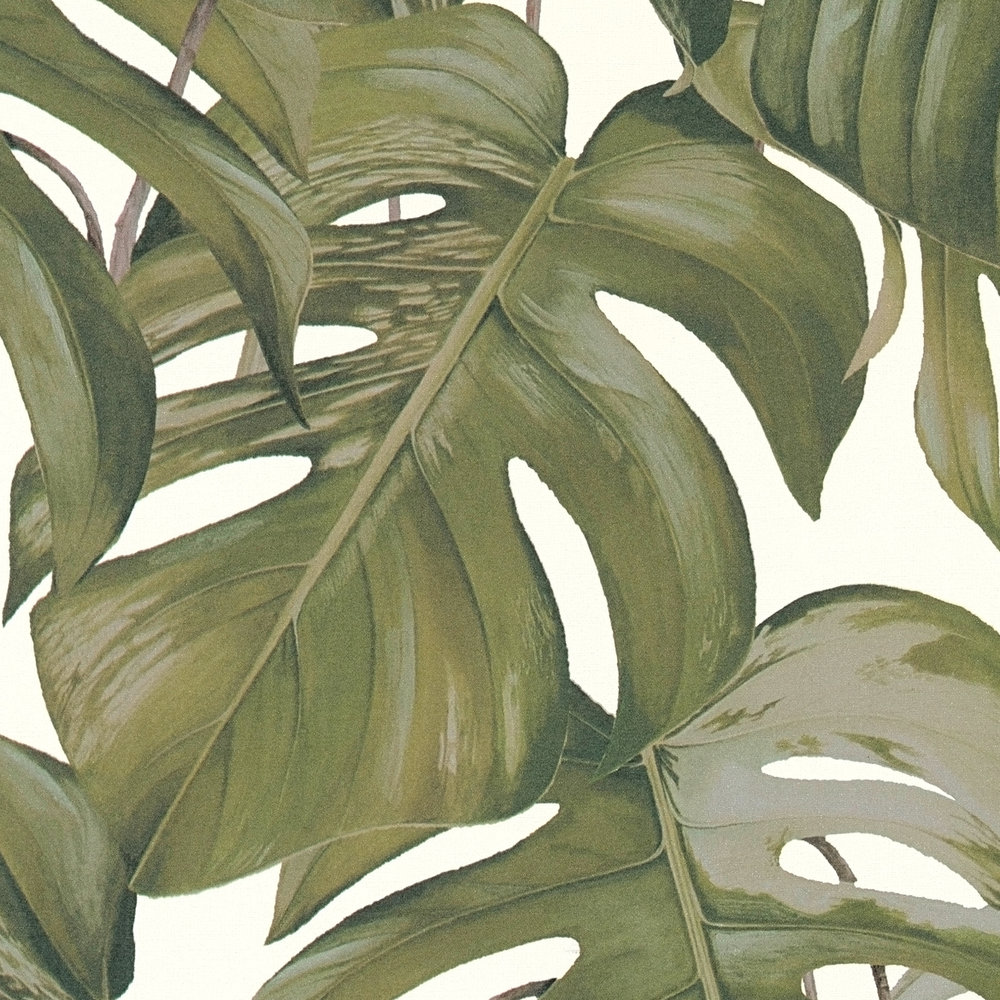             Vliestapete Monstera Blätter Muster – Grau, Grün, Weiß
        