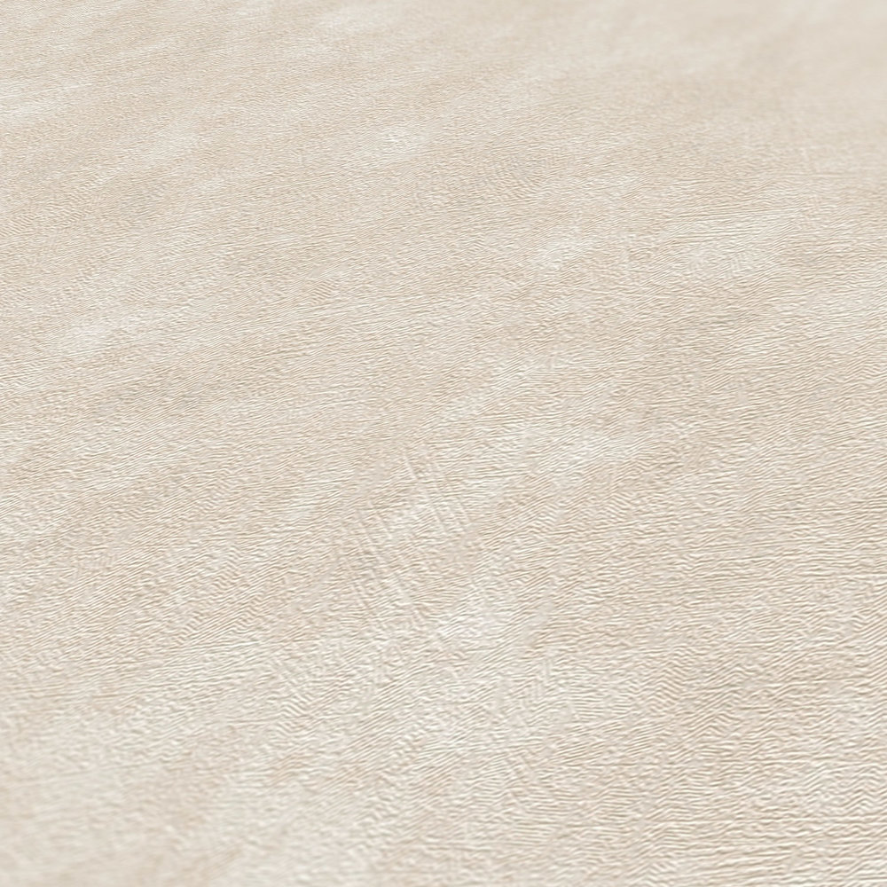             Vliestapete Uni mit Betonoptik und Struktur – Creme, Grau
        