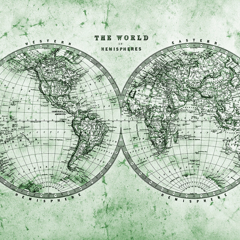 Vintage Weltkarte in Hemisphären – Grün, Grau, Weiß
