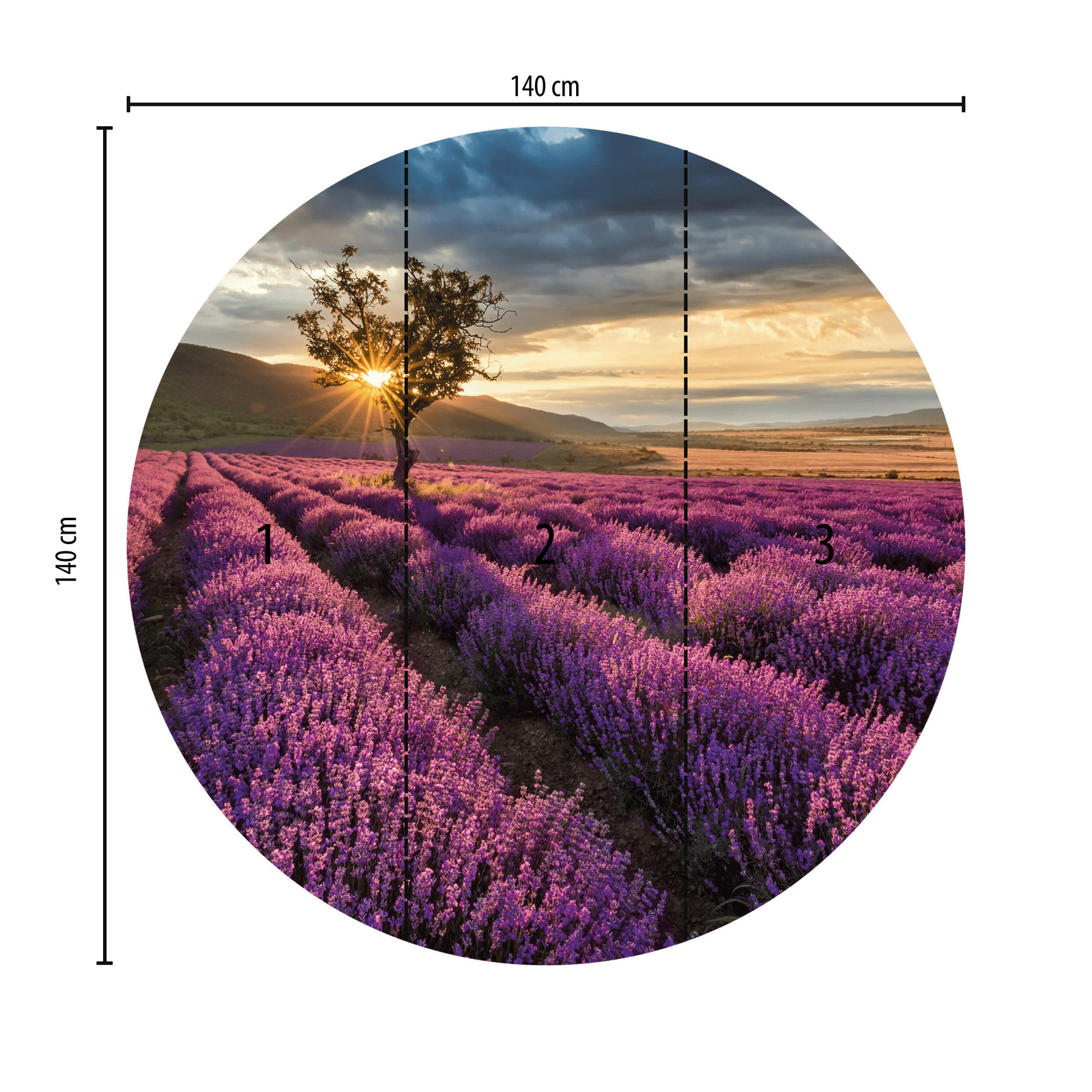             Fototapete rund Lavendelfeld in der Provence
        