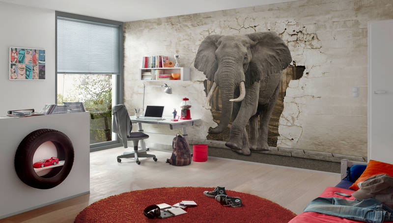             Tier Motiv Fototapete Elefant in der Wand auf Perlmutt Glattvlies
        