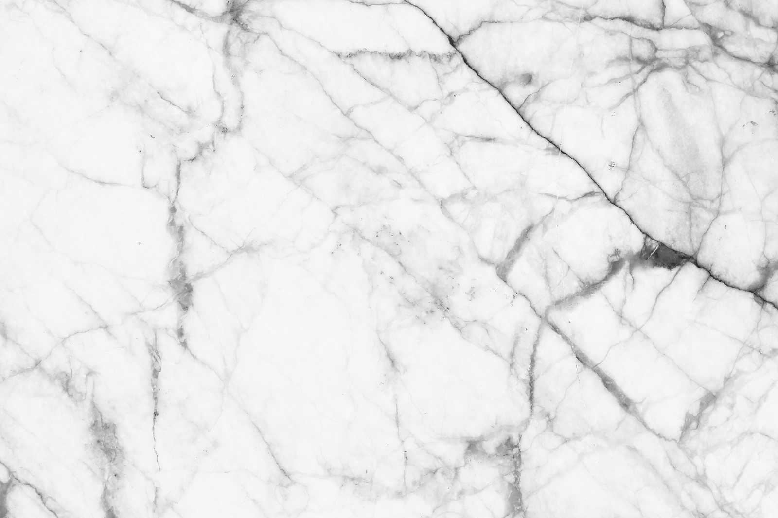             Schwarz-Weiß Leinwandbild Marmor mit natürlichen Details – 1,20 m x 0,80 m
        