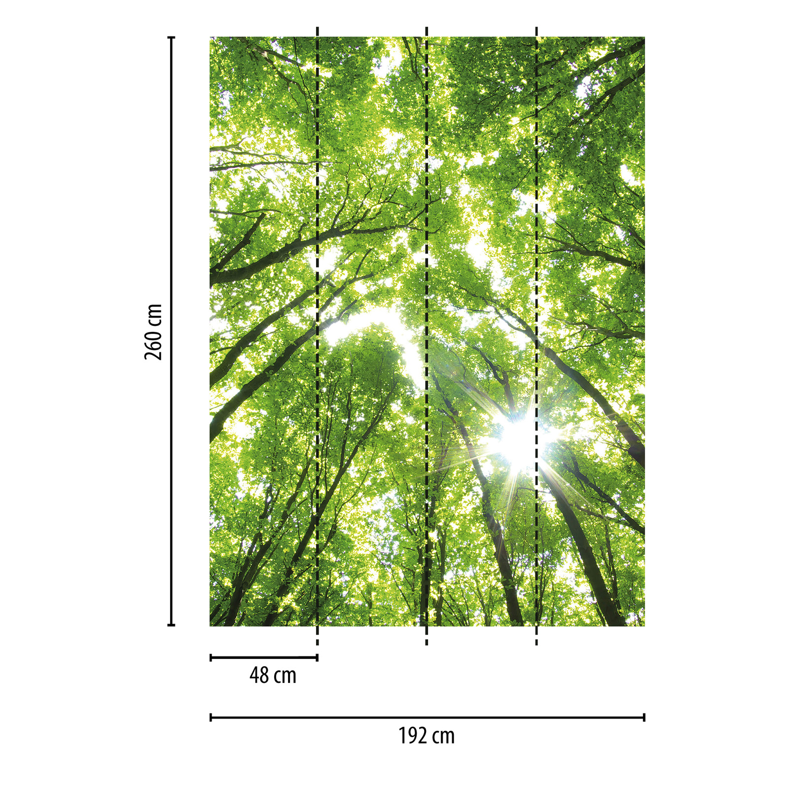             Fototapete rund vernebelter Wald – Grün, Braun, Weiß
        