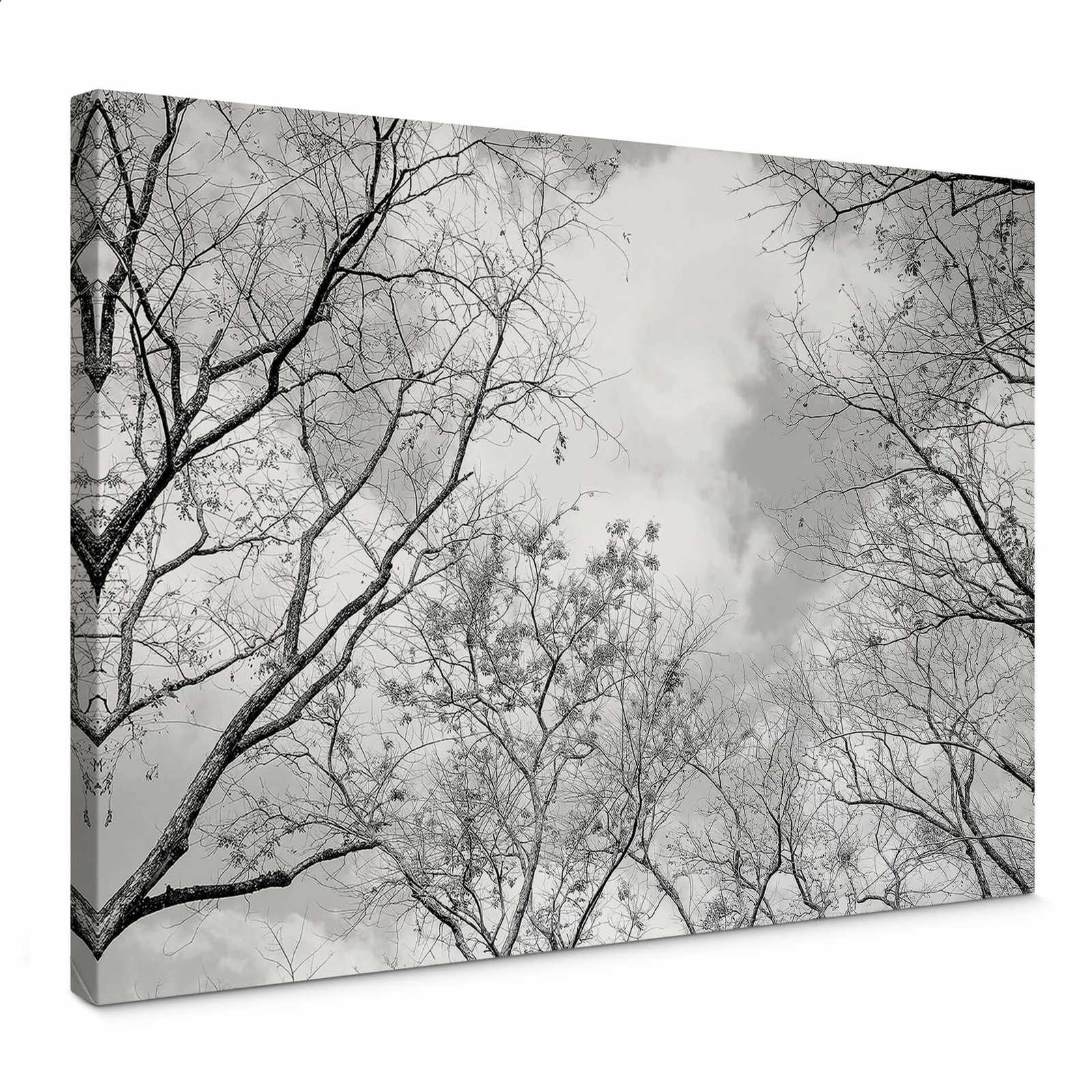         Schwarz-Weiß Leinwandbild Natur – 0,70 m x 0,50 m
    