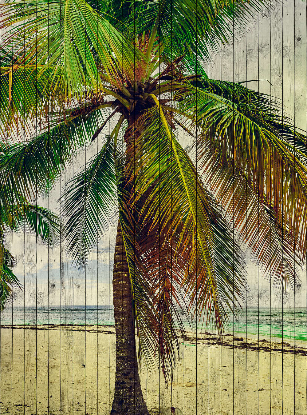             Tahiti 3 - Palmen Fototapete mit Urlaubsfeeling - Holzpaneele Struktur – Beige, Blau | Perlmutt Glattvlies
        