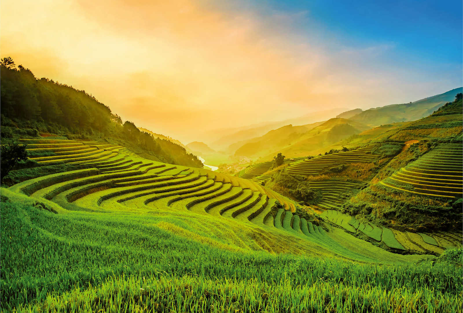 Fototapete Vietnam Reisfelder bei Sonnenaufgang
