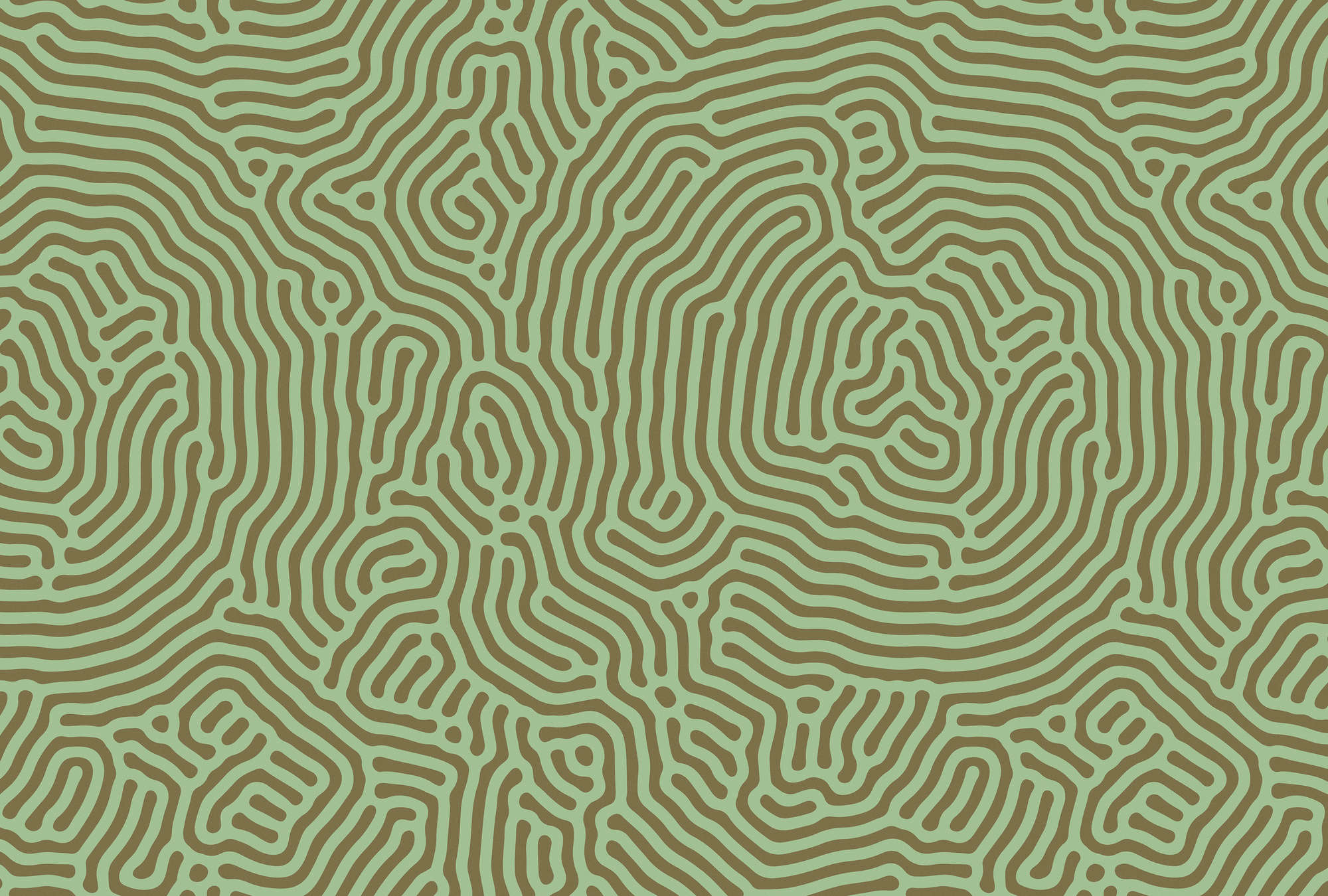             Sahel 1 – Grüne Fototapete Labyrinth Muster Salbeigrün
        