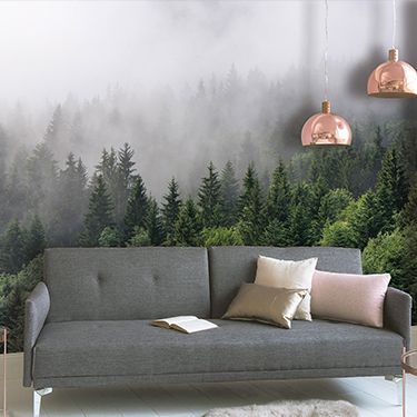 Junges Wohnzimmer mit Fototapete Wald im Nebel DD118602
