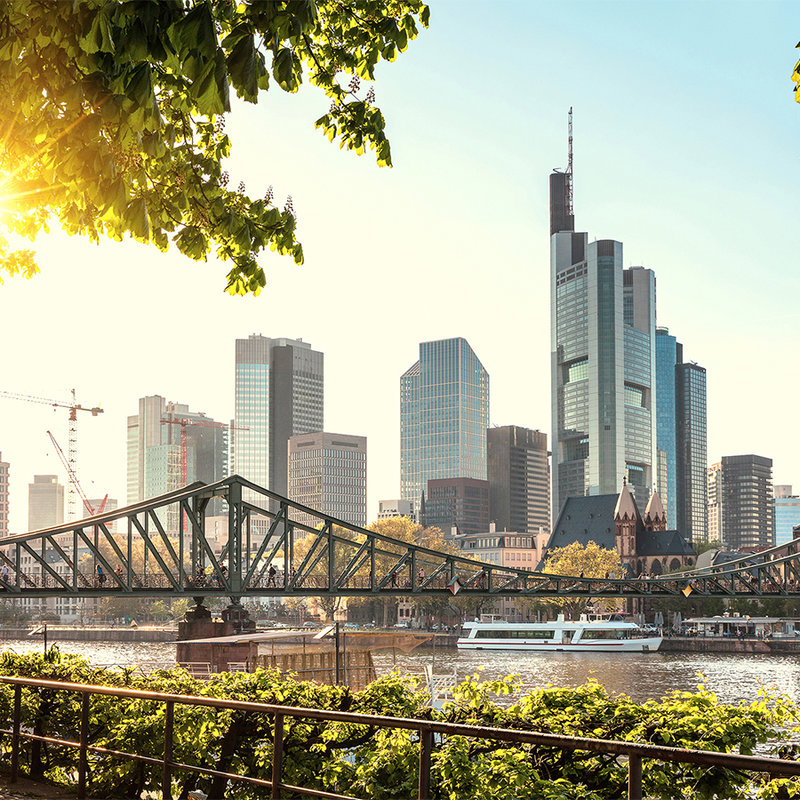 Fototapete Frankfurt Skyline – Blau, Braun, Grau

