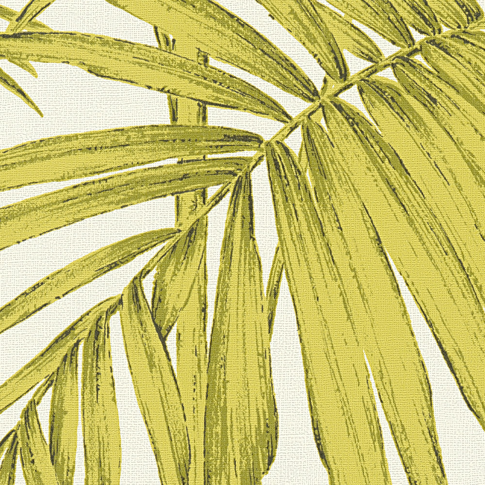             Natürliche Tapete Palmenblätter, Bambus – Grün, Creme
        