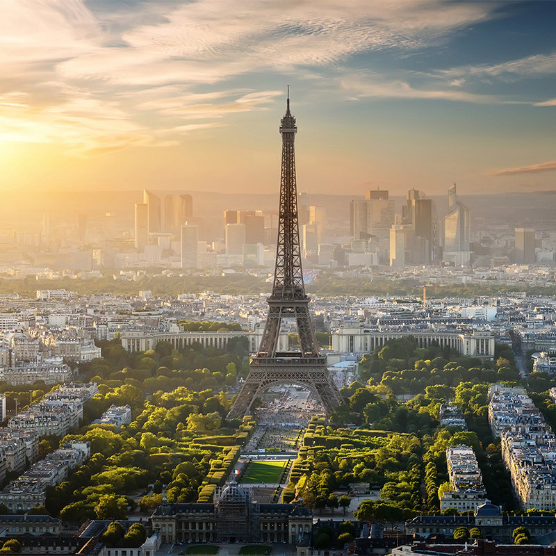         Fototapete Eifel Turm Paris – Grün, Grau, Gelb
    