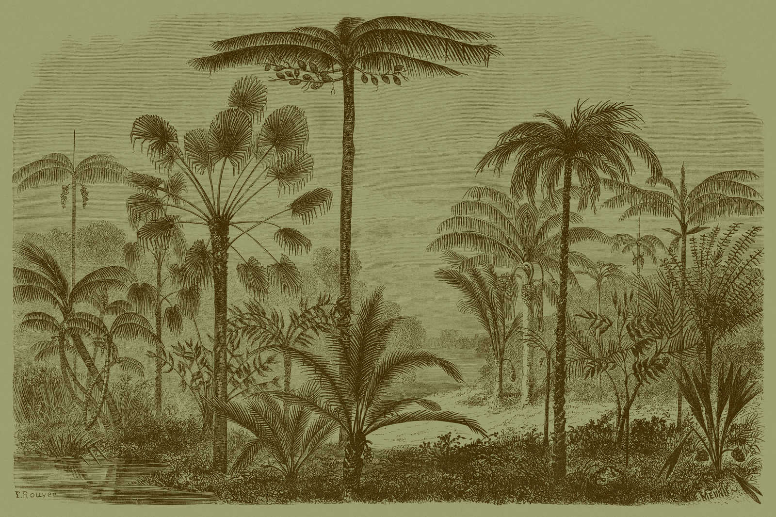             Jurassic 1 - Leinwandbild Dschungelmotiv Kupferstich – 0,90 m x 0,60 m
        