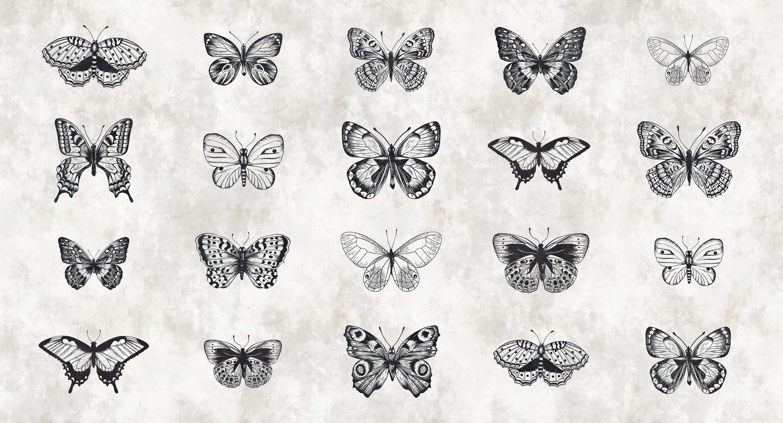             Schmetterling Fototapete Schwarz-Weiß Zeichnungen
        
