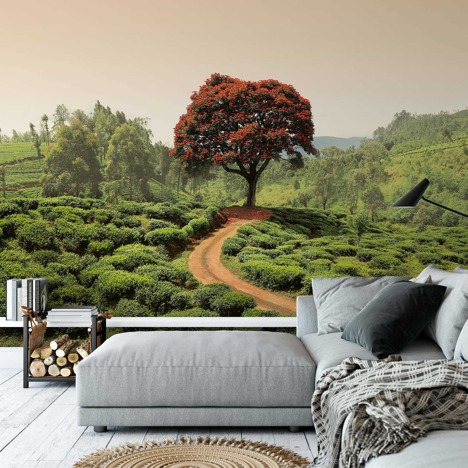             Fototapete Landschaft in Sri Lanka – Grün, Rot, Braun
        