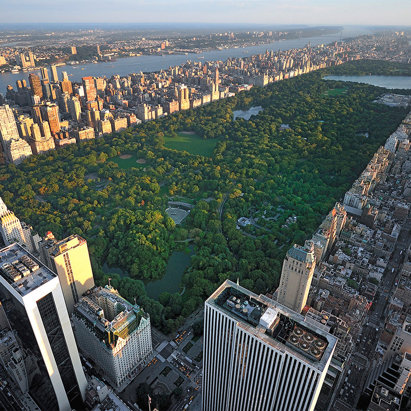 Fototapete New York Central Park von oben – Perlmutt Glattvlies
