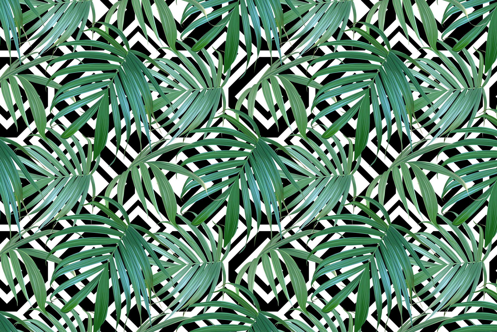             Grafik Fototapete Dschungel Pflanzen vor Schwarz Weiß Grafik auf Matt Glattvlies
        