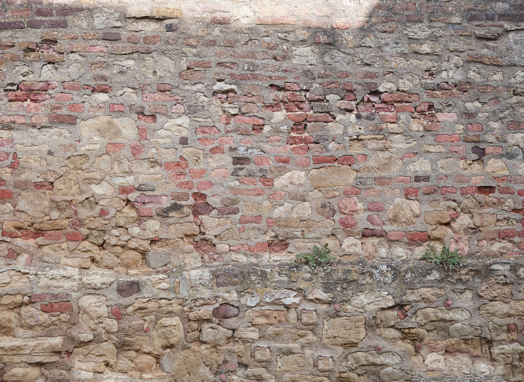             Fototapete Steinmauer mit Wildpflanzen im realistischen Industrialstyle – Rot, Braun, Grau
        