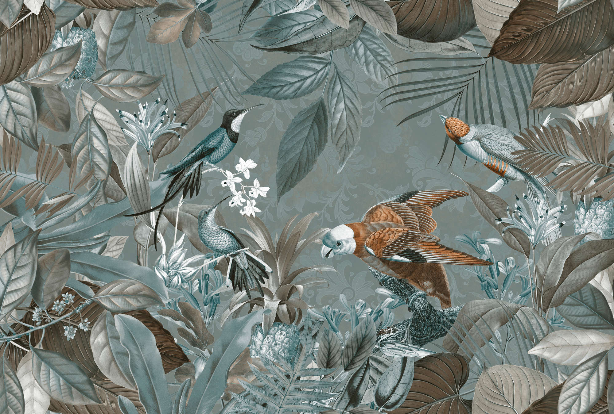             Dschungel Fototapete Vögeln & tropisches Design
        