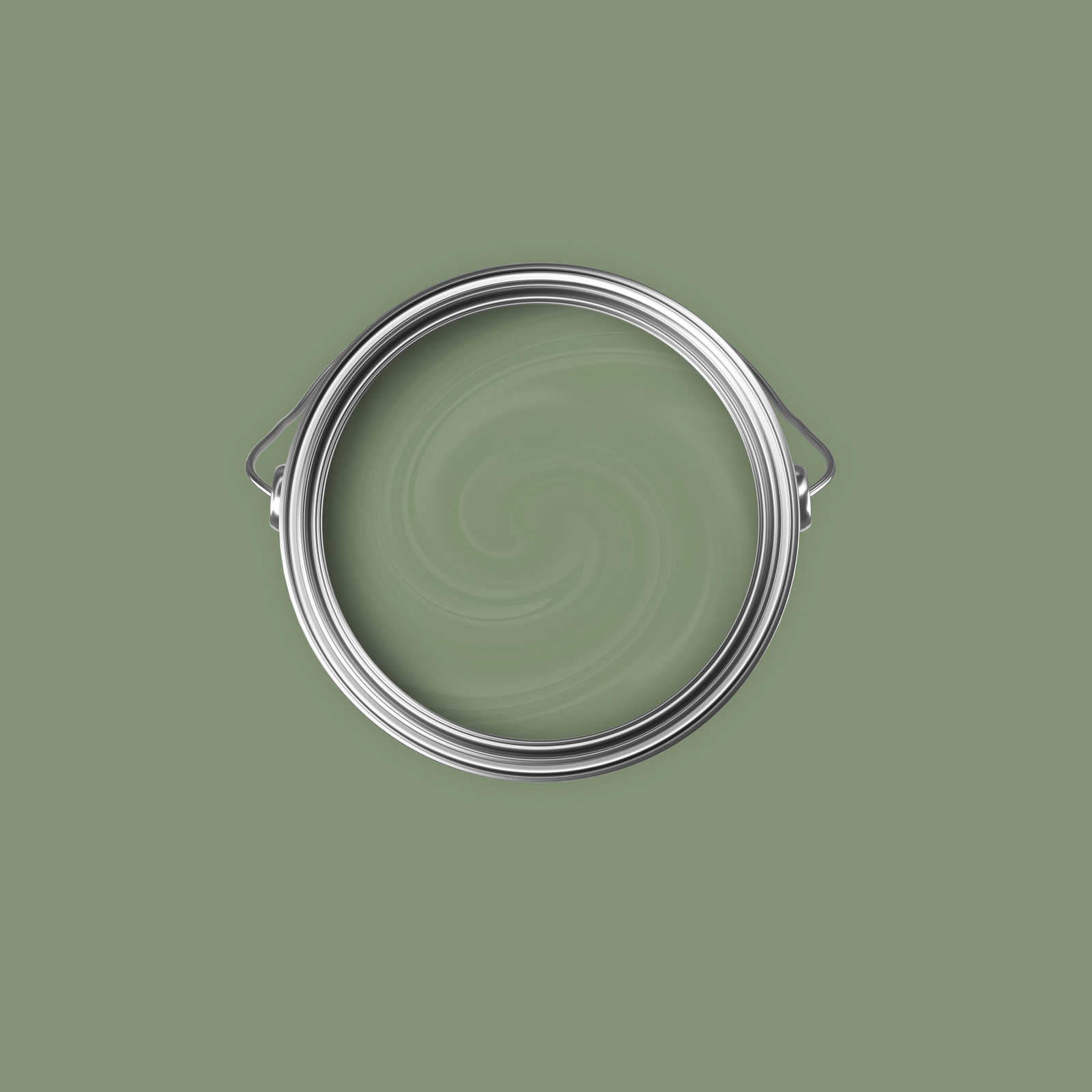             Premium Wandfarbe natürliches Olivgrün »Gorgeous Green« NW503 – 2,5 Liter
        