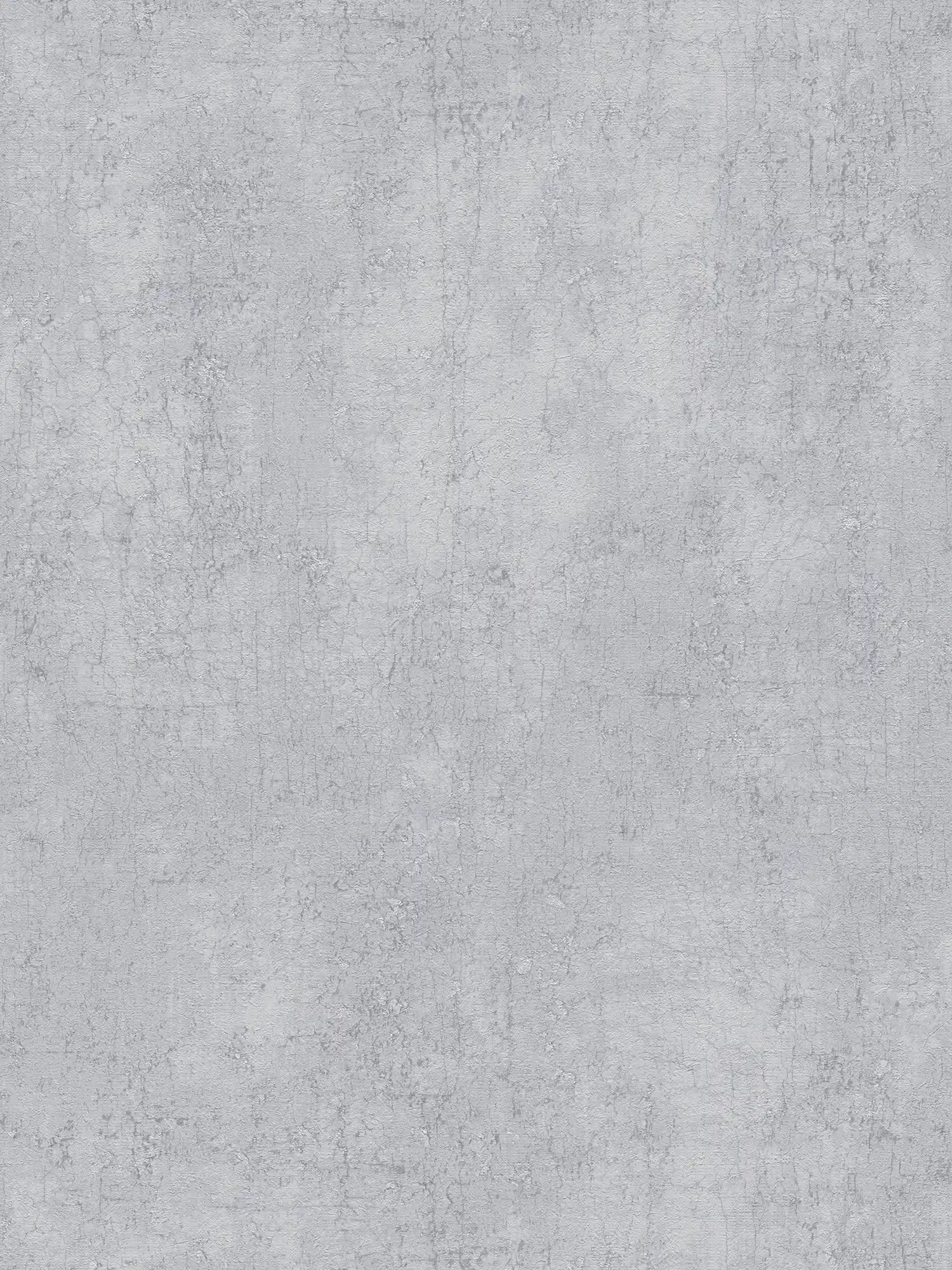 Putzoptik Tapete Steingrau mit Silber Akzenten – Grau, Metallic

