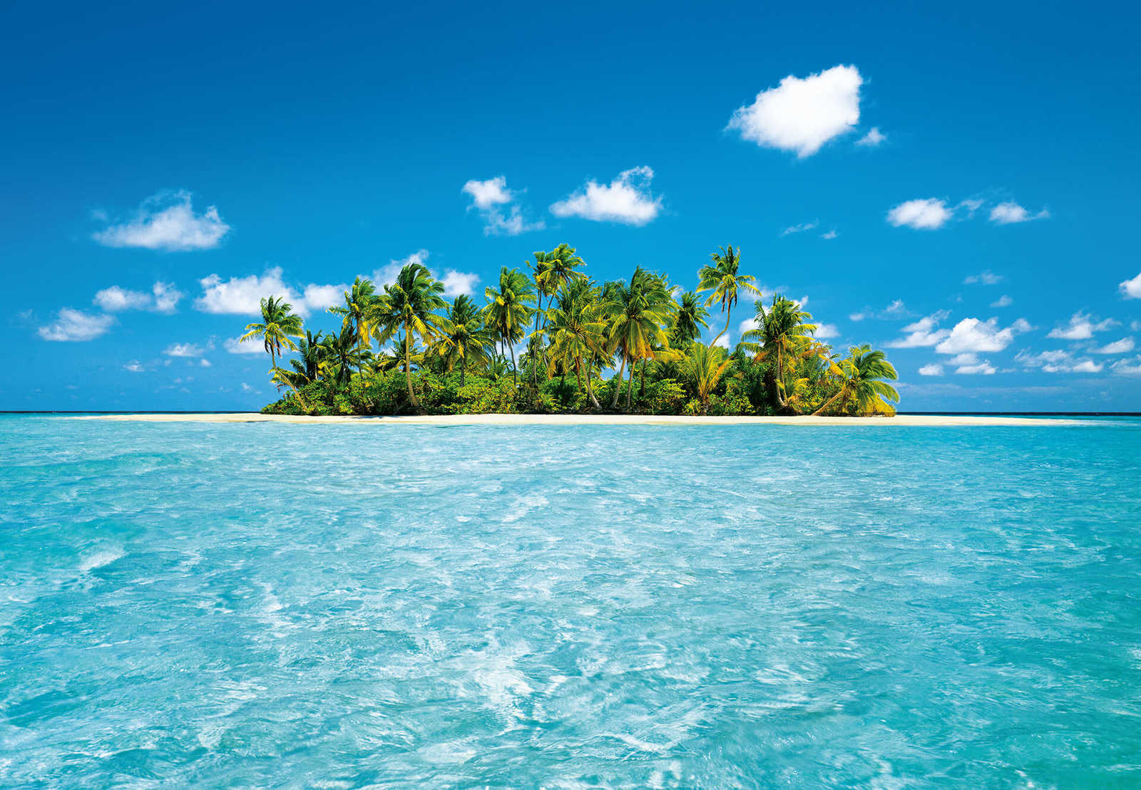         Blaue Südsee Fototapete Malediven Insel & Meer
    