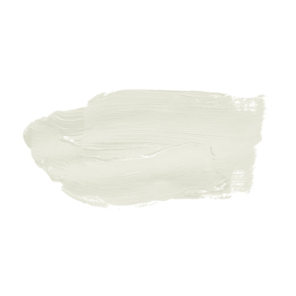             Wandfarbe in warmem Weiß »Shady Sugar« TCK1008 – 2,5 Liter
        