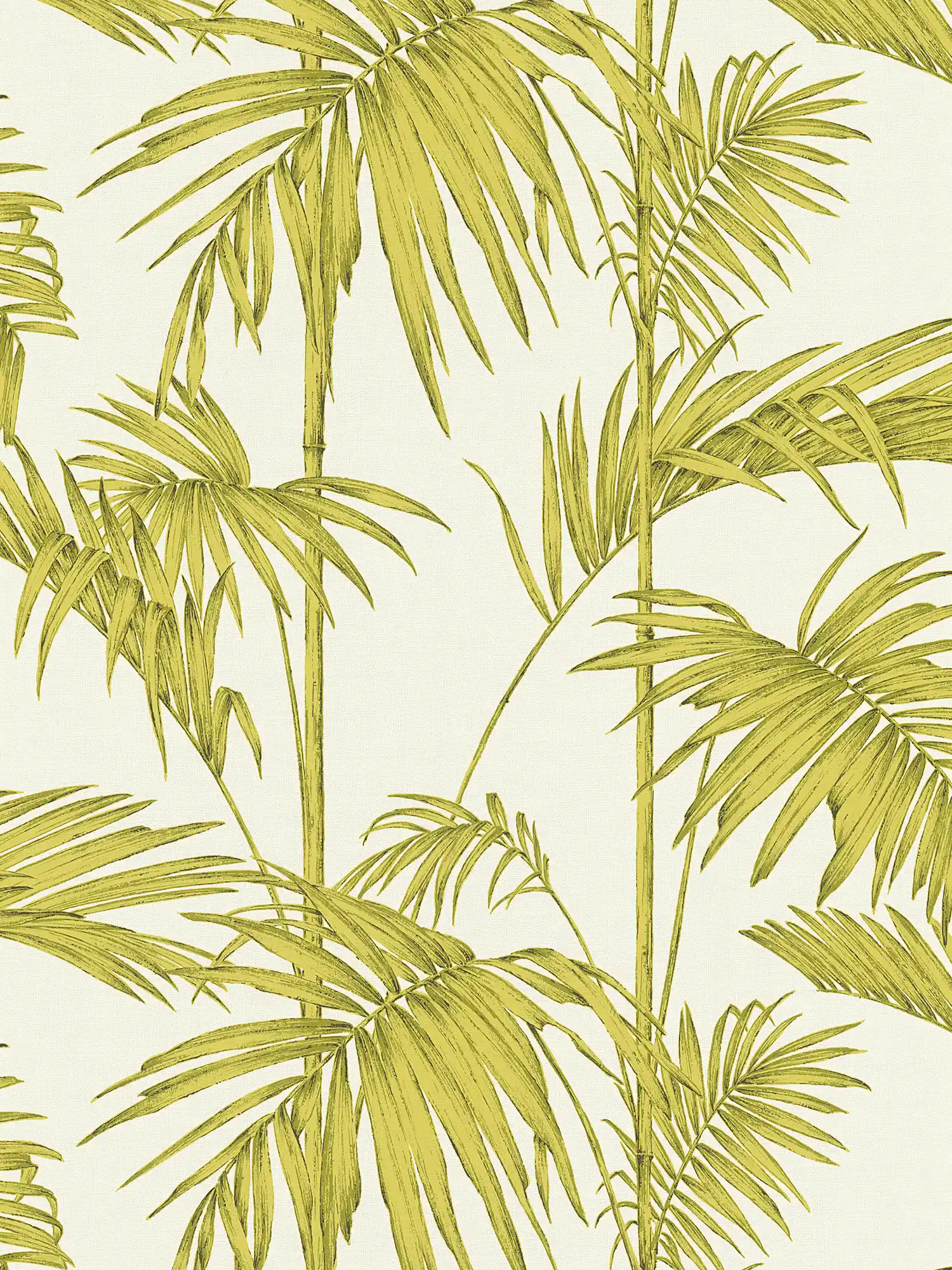 Natürliche Tapete Palmenblätter, Bambus – Grün, Creme

