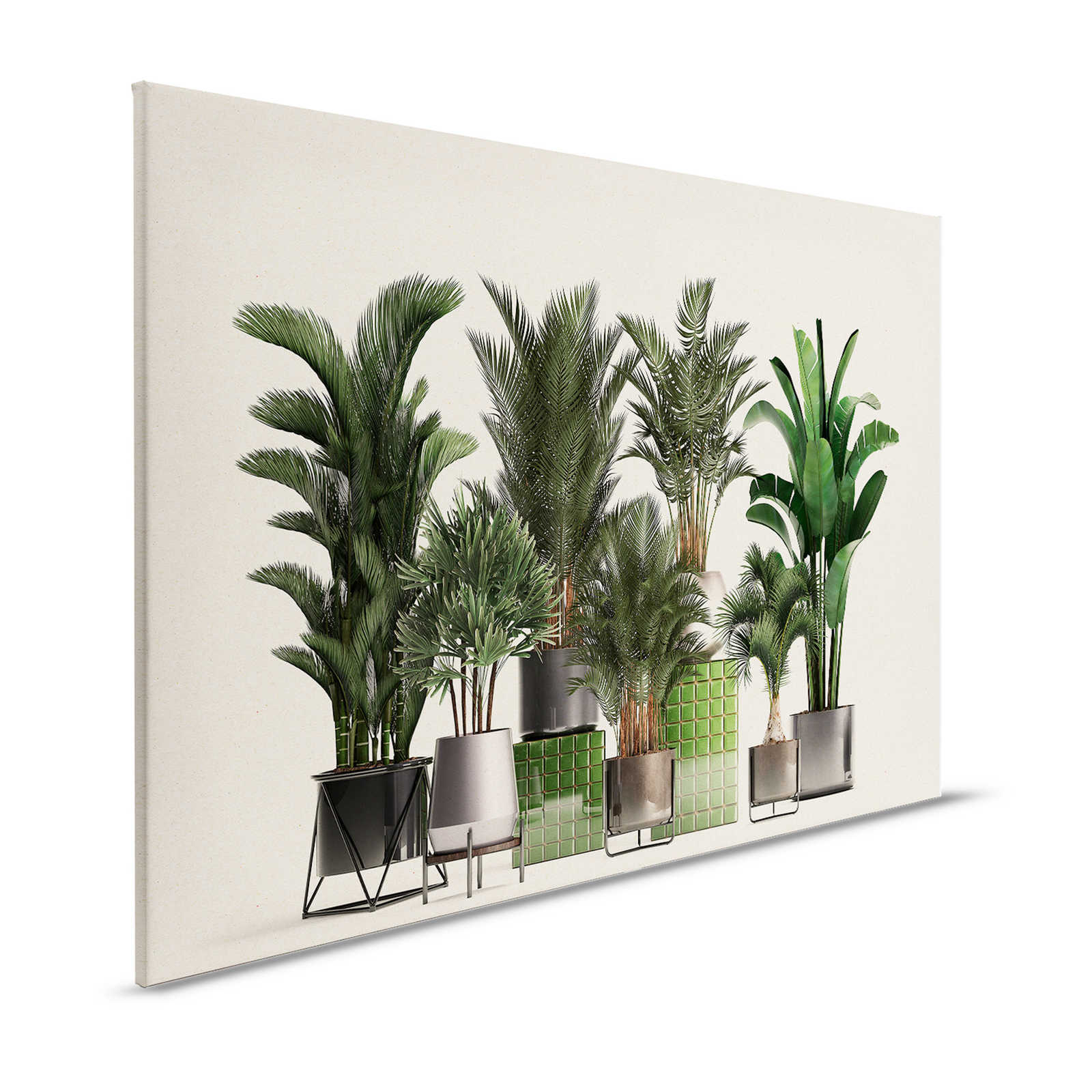 Plant Shop 1 - Natur Leinwandbild Topfpflanzen Palmen – 1,20 m x 0,80 m
